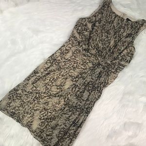 NWT Alex womens size 12 dress leopard print